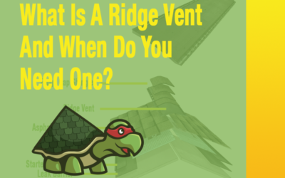 Ridge Vents in Bastrop, Texas: Understanding Their Purpose and Benefits
