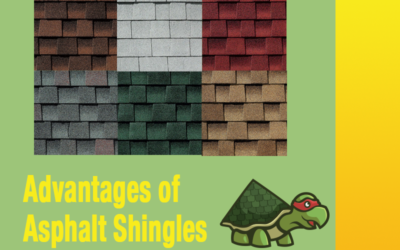 The Advantages of Asphalt Shingles: Bastrop, Texas Homeowners’ Top Choice