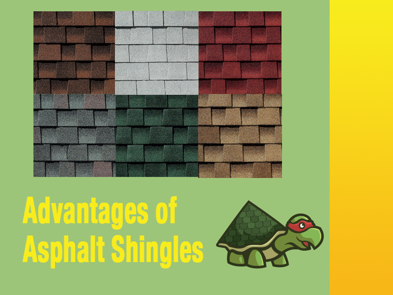 The Advantages of Asphalt Shingles: Bastrop, Texas Homeowners’ Top Choice