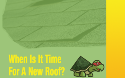 When is it Time for a New Roof in Bastrop, Texas: Signs, Timing, and Roofing Turtle Expertise