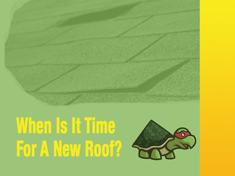 When is it Time for a New Roof in Bastrop, Texas: Signs, Timing, and Roofing Turtle Expertise