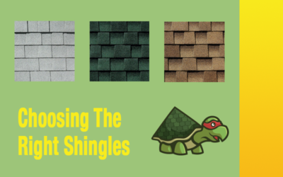 Choosing the Right Shingles for Your Bastrop, Texas Home: A Comprehensive Guide