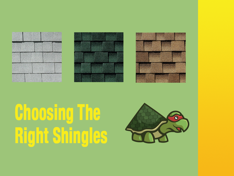 Choosing the Right Shingles for Your Bastrop, Texas Home: A Comprehensive Guide