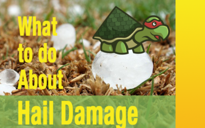 Dealing with Roof Damage from Hail in Bastrop, Texas: What to Do About It