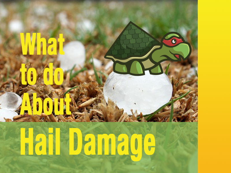 Dealing with Roof Damage from Hail in Bastrop, Texas: What to Do About It