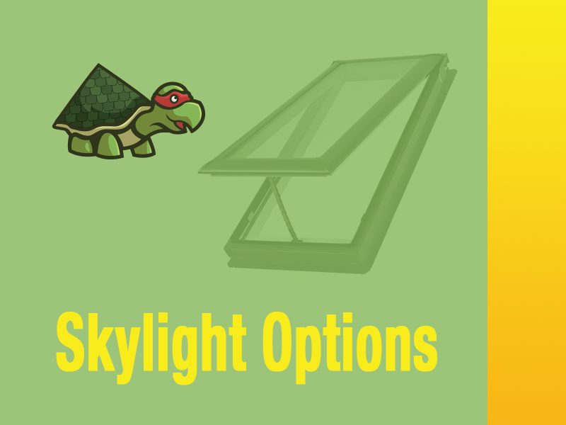 Discover the Best Skylight Options to Brighten Your Bastrop, Texas Home