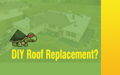 DIY Roof Replacement in Bastrop, Texas: Pros, Cons, and Expert Insights