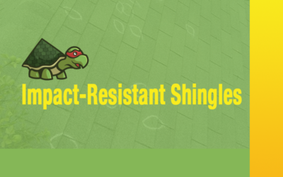 Impact-Resistant Shingles: Everything Bastrop, Texas Homeowners Should Know