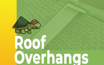 Shielding Your Bastrop Home: How Roof Overhangs Prevent Water Damage