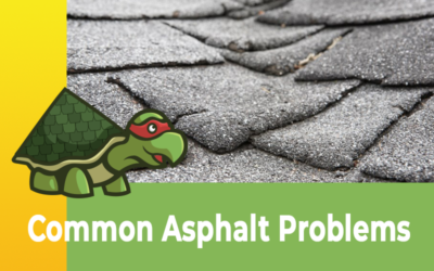Unveiling Common Problems with Asphalt Roofing Shingles in Bastrop, Texas
