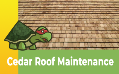 Cedar Roof Maintenance Tips and Solutions in Bastrop, Texas