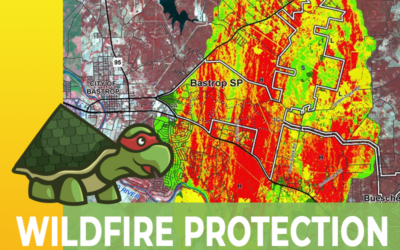 Protecting Your Bastrop Home from Wildfires: Are Synthetic Roofs the Safest Choice?