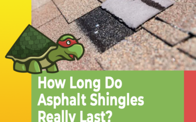 The Truth About Asphalt Shingle Lifespan: Expert Insights for Bastrop, Texas Homeowners