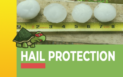 Hail Protection for Roofs in Bastrop, Texas: Expert Tips and F-Wave Revia Solutions