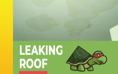 Understanding the Impact of a Leaking Roof: Effects and Solutions in Bastrop, Texas