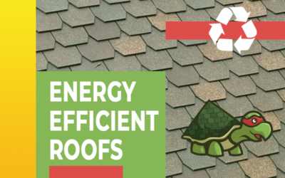 Why You Need an Energy Efficient Roof in Bastrop, Texas: Benefits and Best Options