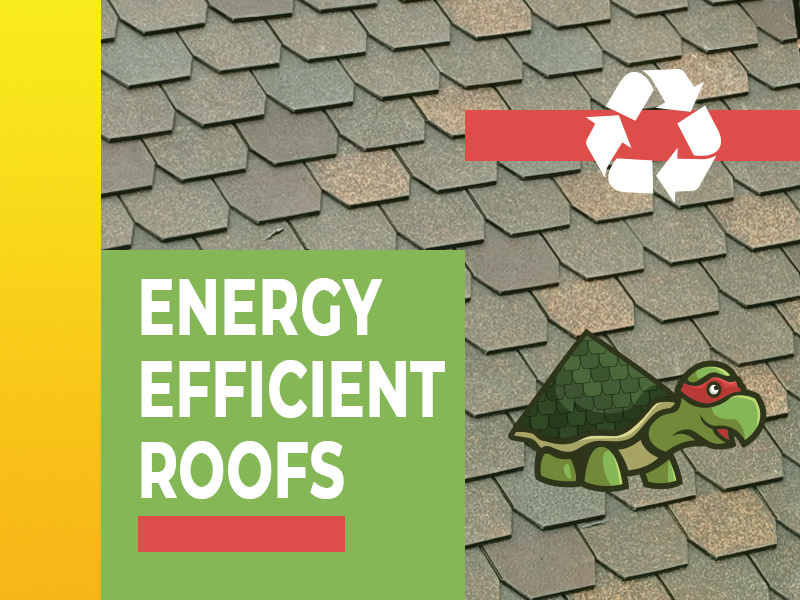 Why You Need an Energy Efficient Roof in Bastrop, Texas: Benefits and Best Options